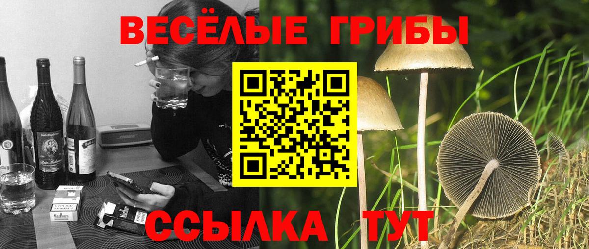где купить наркоту  Вход с VPN  Электрогорск  Галлюциногенные грибы прущие грибы 