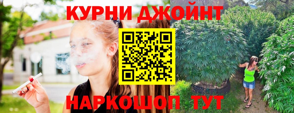 Бошки Шишки Amnesia  Шишки марихуана конопля  Электрогорск  Вход с VPN  Бошки марихуана тримм 
